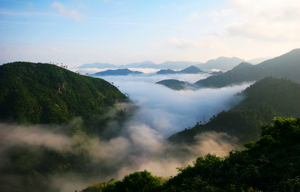 浙江省大盘山国家级自然保护区 浙江大盘山国家自然保护区位于浙江省